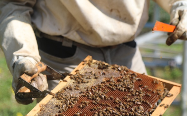 207th Military Intelligence Brigade - Theater, supports environmental and legal Efforts in Italy