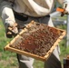 207th Military Intelligence Brigade - Theater, supports environmental and legal Efforts in Italy