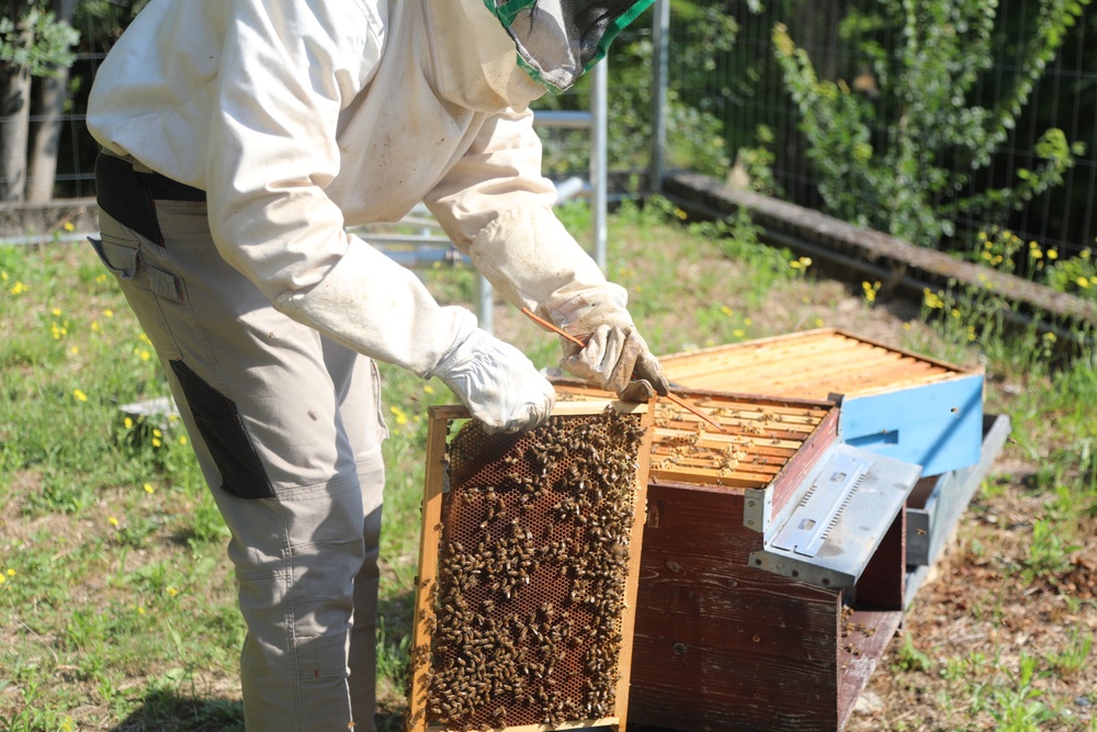207th Military Intelligence Brigade - Theater, supports environmental and legal Efforts in Italy