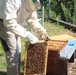 207th Military Intelligence Brigade - Theater, supports environmental and legal Efforts in Italy