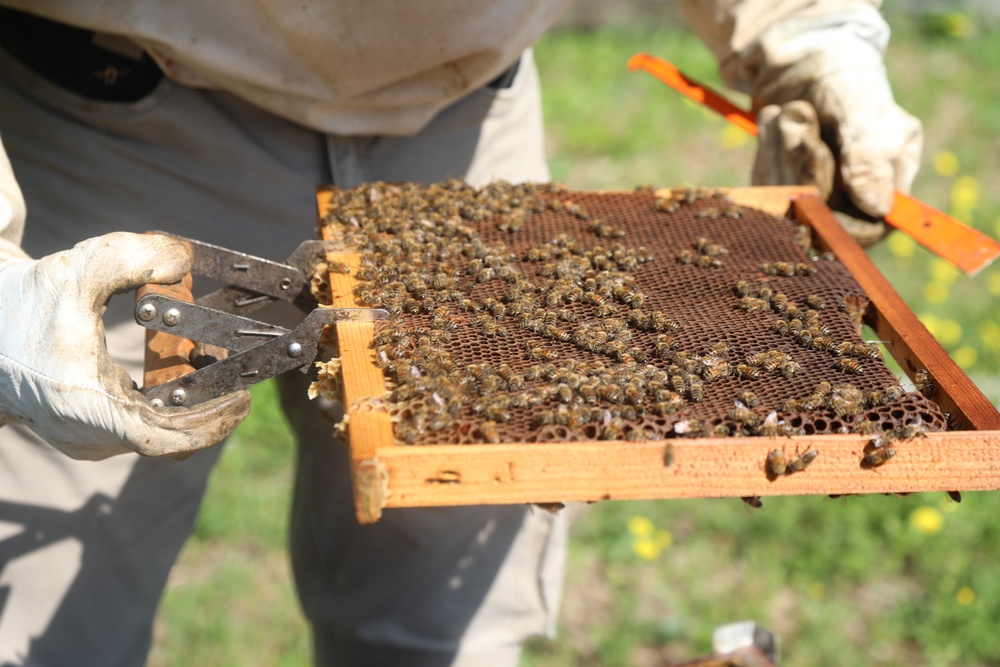 207th Military Intelligence Brigade - Theater, supports environmental and legal Efforts in Italy