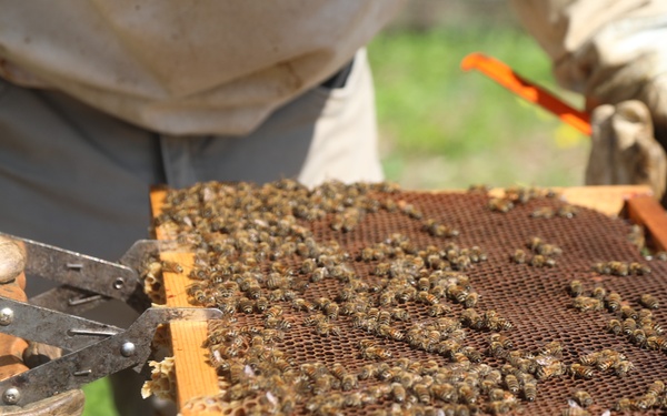 207th Military Intelligence Brigade - Theater, supports environmental and legal Efforts in Italy