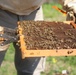 207th Military Intelligence Brigade - Theater, supports environmental and legal Efforts in Italy