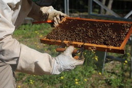 207th Military Intelligence Brigade - Theater, supports environmental and legal Efforts in Italy