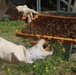 207th Military Intelligence Brigade - Theater, supports environmental and legal Efforts in Italy