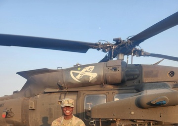 Task Force Guardian and Task Force Pegasus Air to Ground Initiative Program