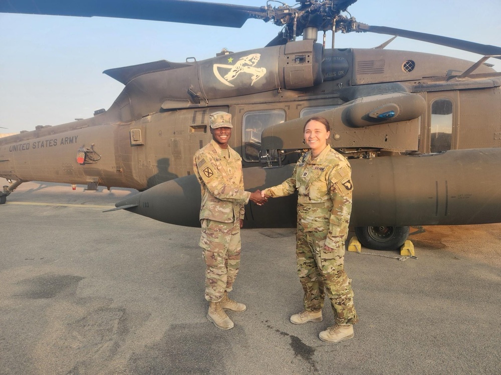 Task Force Guardian and Task Force Pegasus Air to Ground Initiative Program