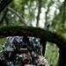 Oklahoma Guardsmen face-off against drones in survivability exercise