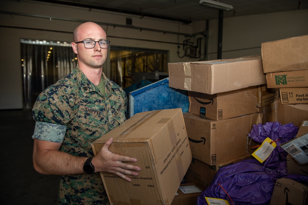 Sailor In The Spotlight - Sgt. Shippee