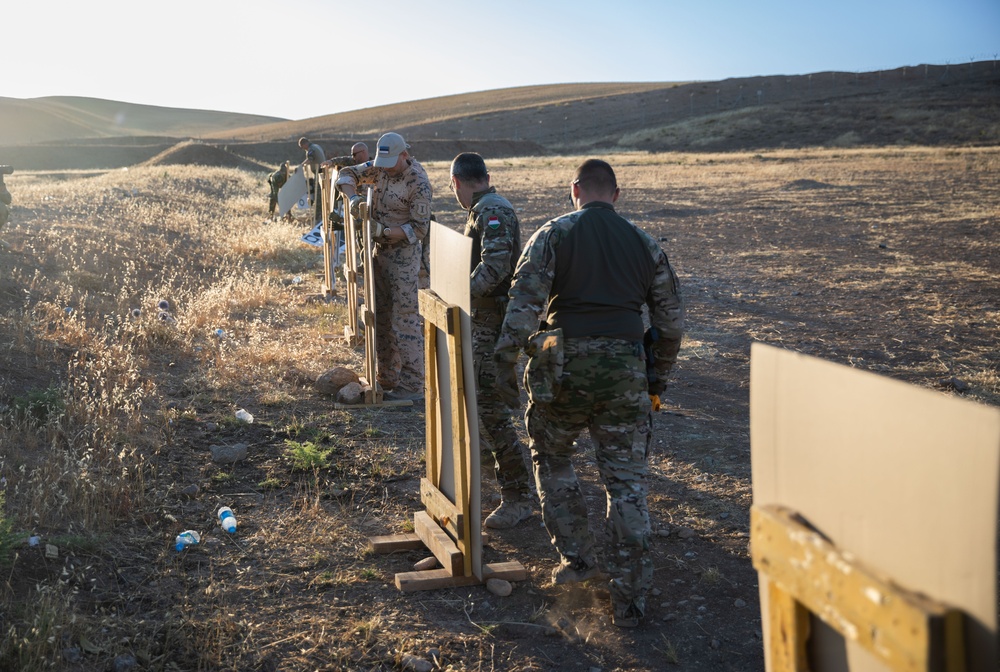 Coalition Members Conduct Weapons Training at Beneslawa Range