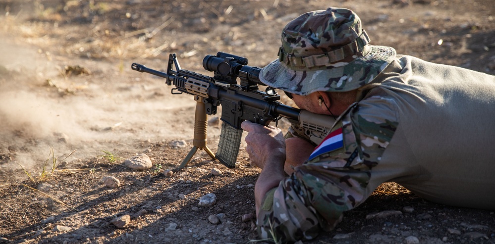 Coalition Members Conduct Weapons Training at Beneslawa Range