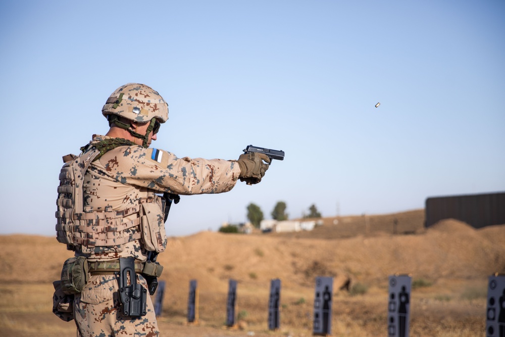 Coalition Members Conduct Weapons Training at Beneslawa Range