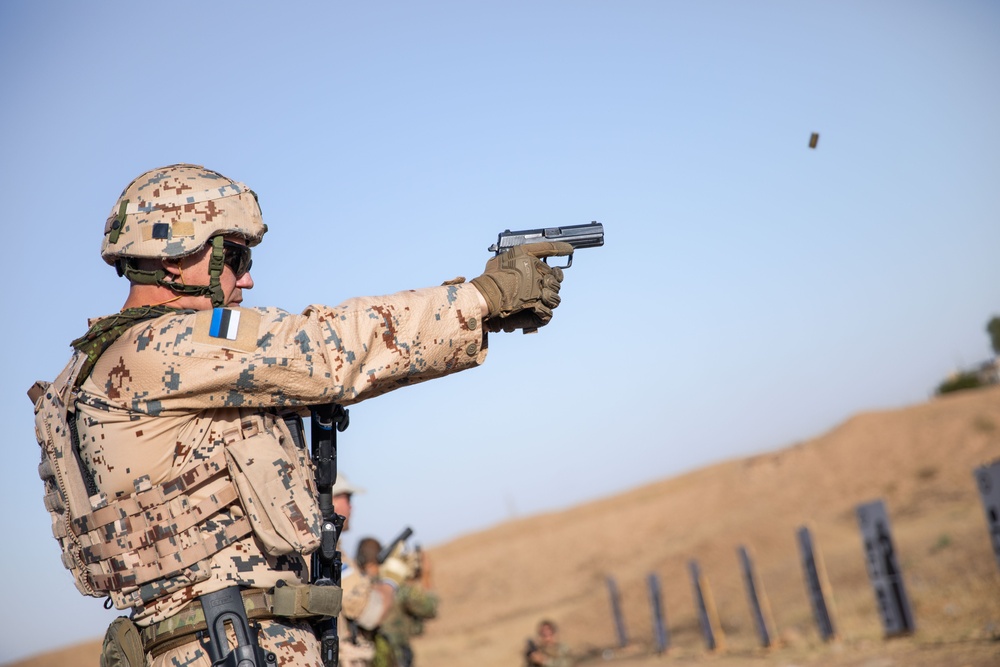 Coalition Members Conduct Weapons Training at Beneslawa Range