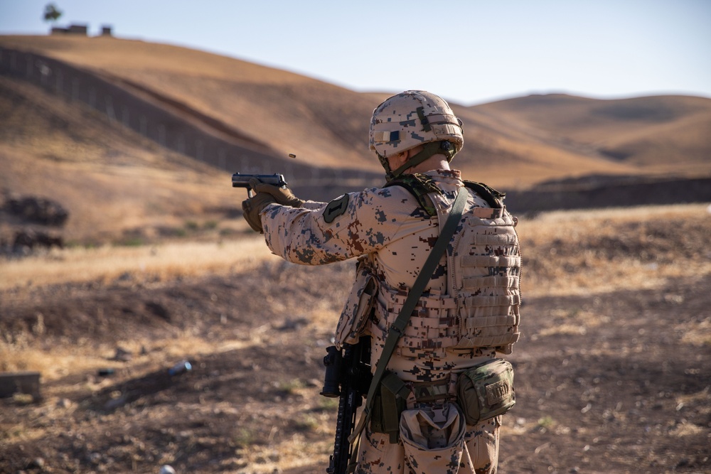 Coalition Members Conduct Weapons Training at Beneslawa Range