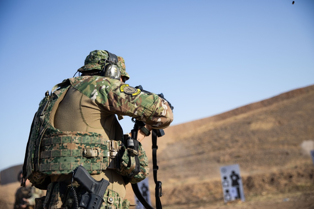 Coalition Members Conduct Weapons Training at Beneslawa Range