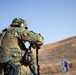 Coalition Members Conduct Weapons Training at Beneslawa Range