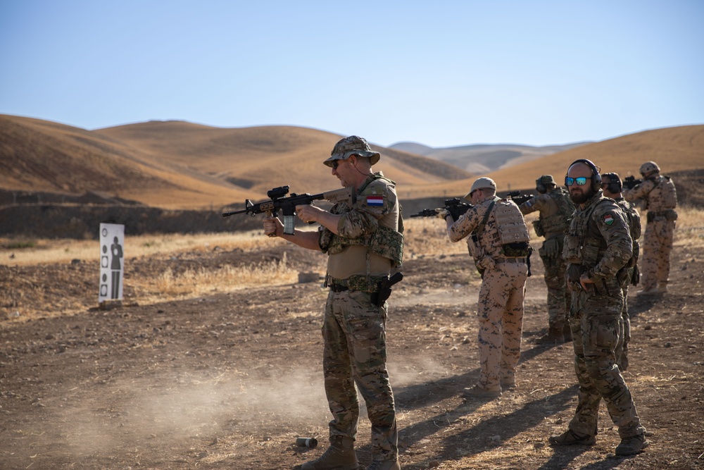 Coalition Members Conduct Weapons Training at Beneslawa Range