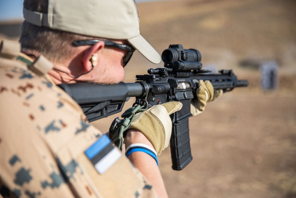 Coalition Members Conduct Weapons Training at Beneslawa Range