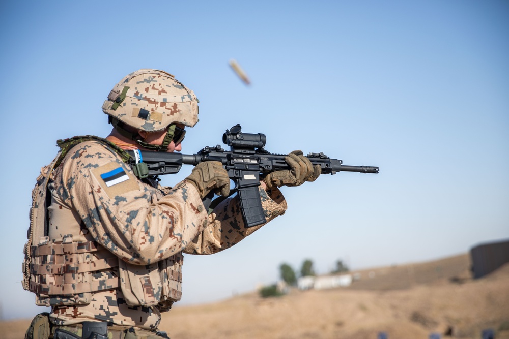 Coalition Members Conduct Weapons Training at Beneslawa Range