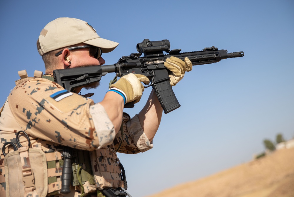 Coalition Members Conduct Weapons Training at Beneslawa Range