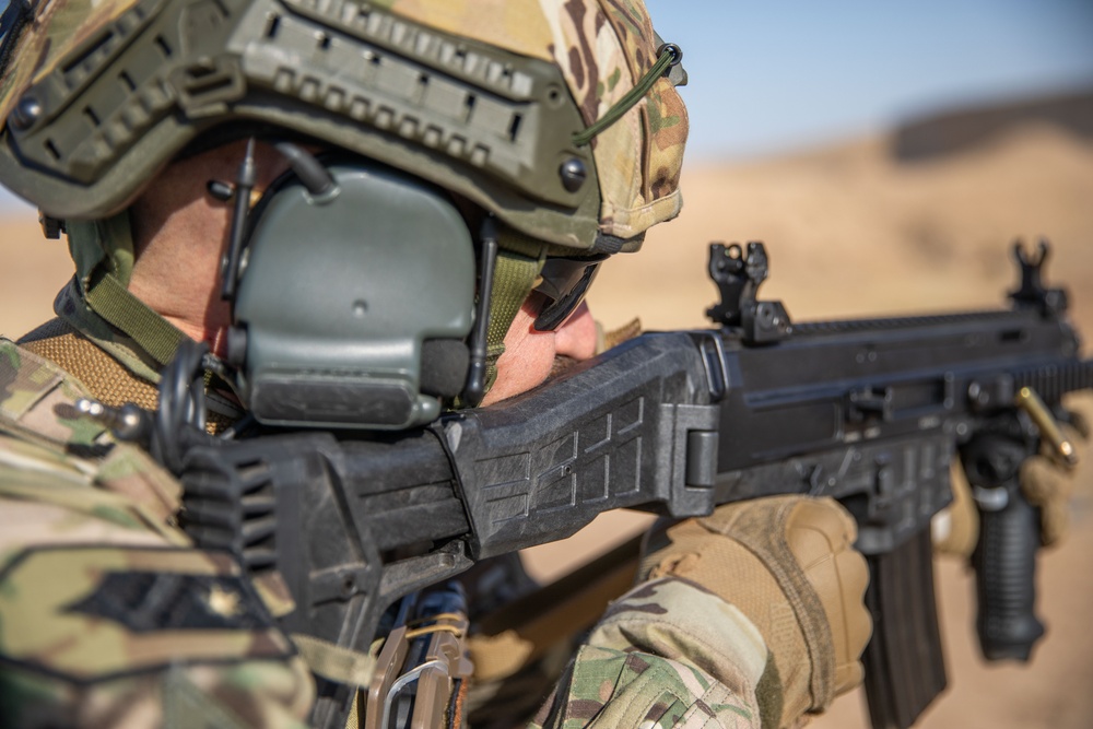 Coalition Members Conduct Weapons Training at Beneslawa Range