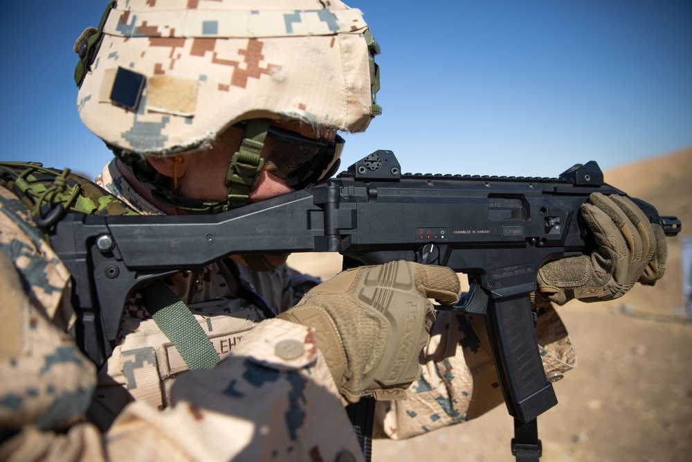 Coalition Members Conduct Weapons Training at Beneslawa Range
