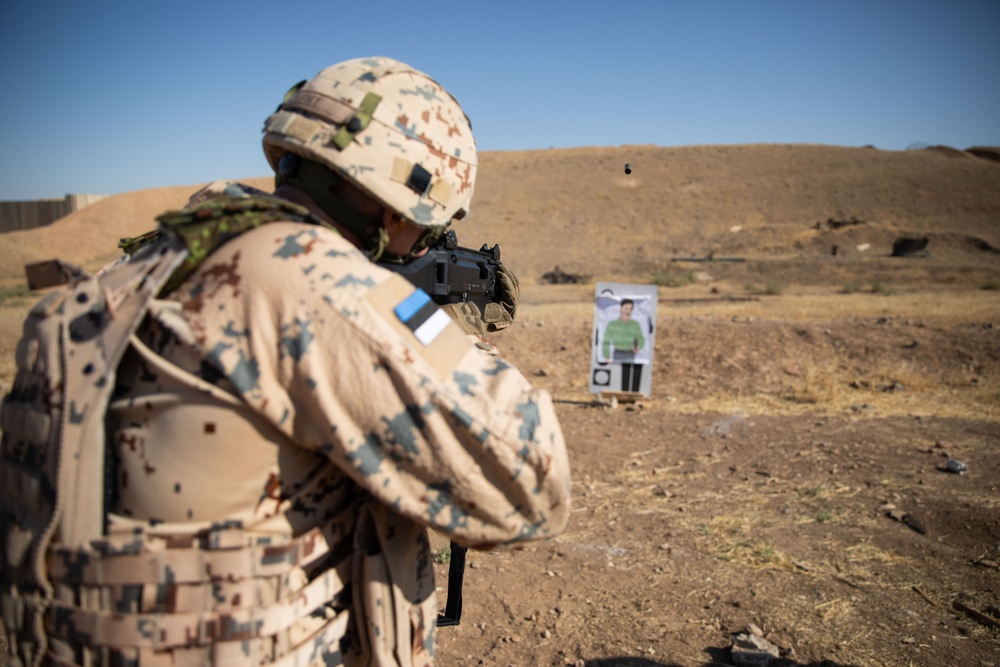 Coalition Members Conduct Weapons Training at Beneslawa Range