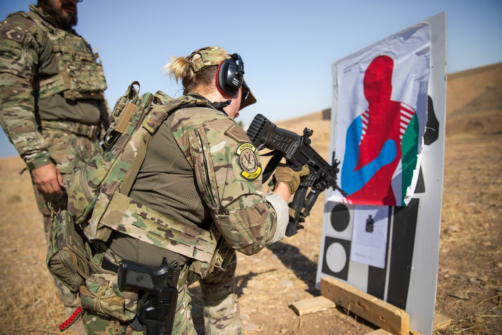 Coalition Members Conduct Weapons Training at Beneslawa Range