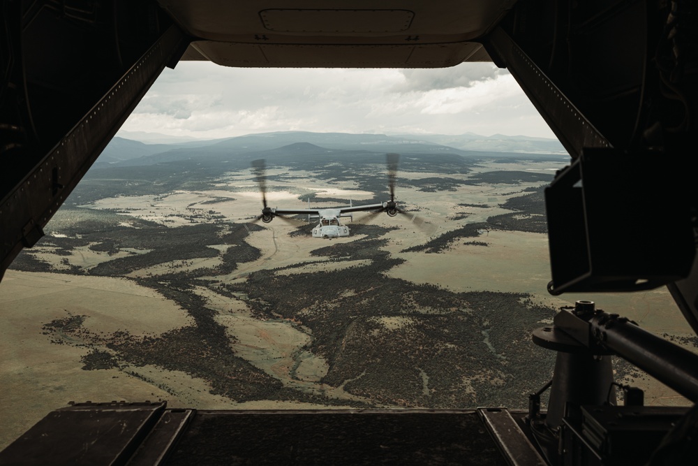 VMM-261 Conducts Live Fire Exercise and RVFs