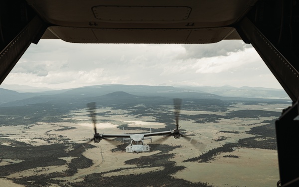 VMM-261 Conducts Live Fire Exercise and RVFs