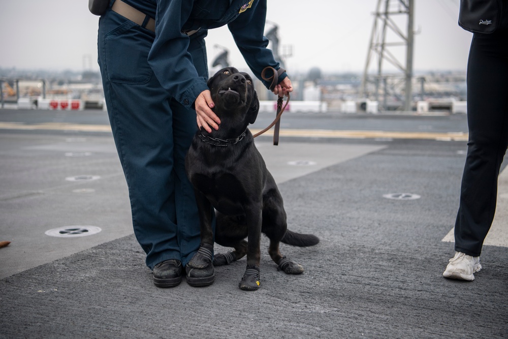 Makin Island Trains Dog Handlers