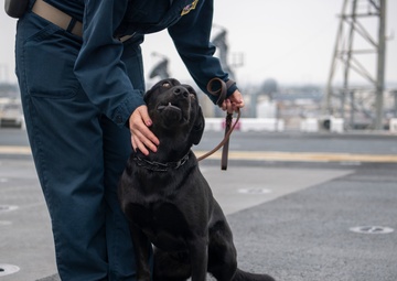 Makin Island Trains Dog Handlers