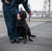 Makin Island Trains Dog Handlers