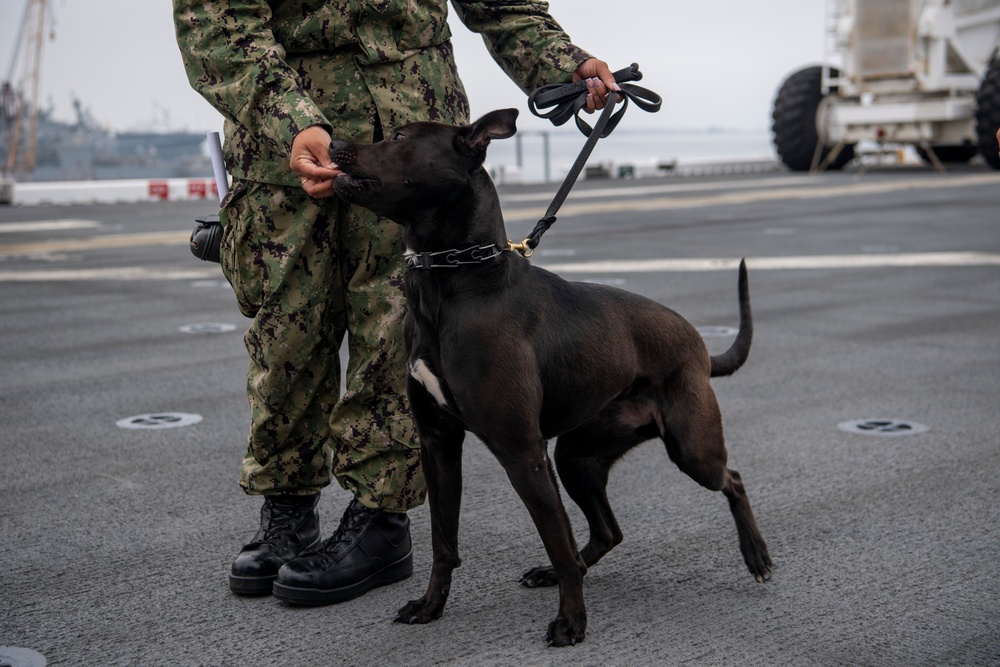 Makin Island Trains Dog Handlers