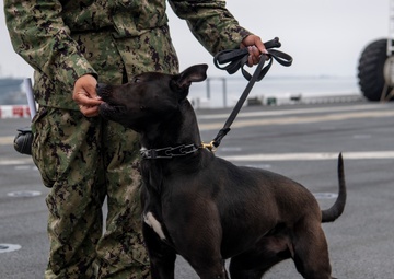 Makin Island Trains Dog Handlers