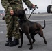 Makin Island Trains Dog Handlers