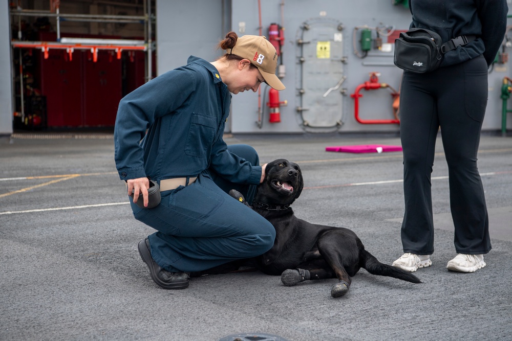 Makin Island Trains Dog Handlers