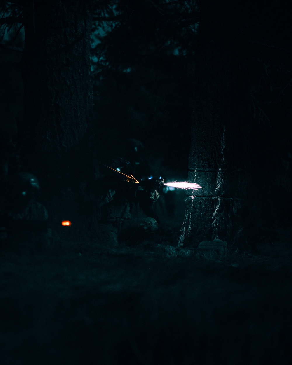 2nd Ranger Battalion Platoon Live Fire Training