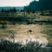 2nd Ranger Battalion Platoon Live Fire Training
