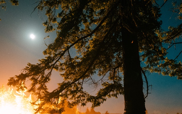 2nd Ranger Battalion Platoon Live Fire Training