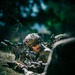 2nd Ranger Battalion Platoon Live Fire Training