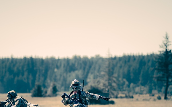 2nd Ranger Battalion Platoon Live Fire Training