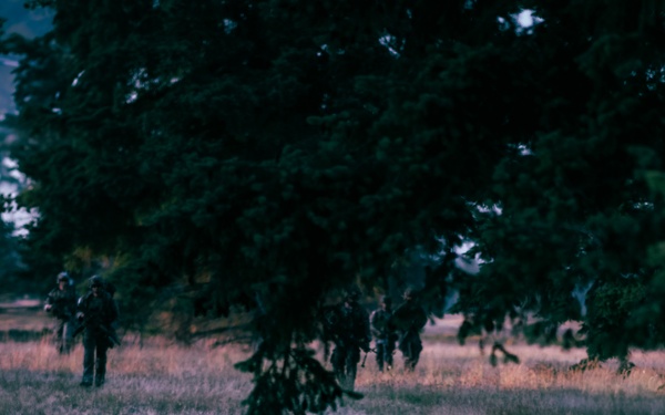 2nd Ranger Battalion Platoon Live Fire Training