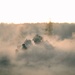 2nd Ranger Battalion Platoon Live Fire Training
