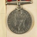 On 26 April 1946, COL Thomas N. Page, Medical Corps, was awarded the (British) War Medal with Oak Leaf Cluster by His Majesty King George VI.