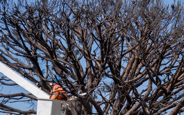 USACE supports wildfire debris removal mission in Southern California