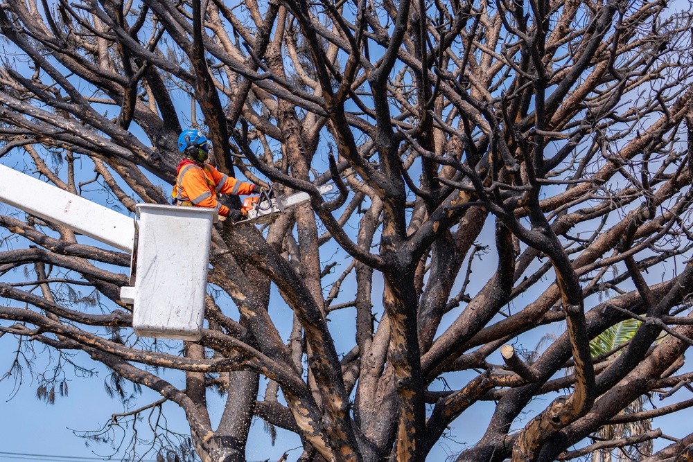 USACE supports wildfire debris removal mission in Southern California