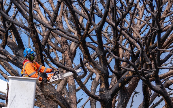 USACE supports wildfire debris removal mission in Southern California