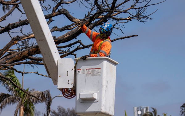 USACE supports wildfire debris removal mission in Southern California