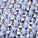 USS Essex (LHD 2) Change of Command Ceremony July 2nd 2025.